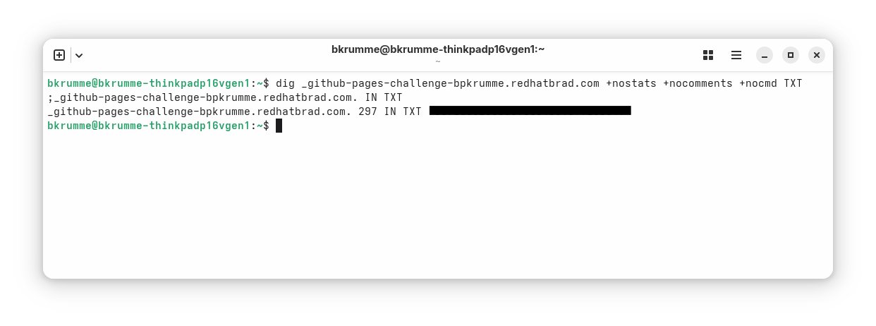 Screenshot of dig results