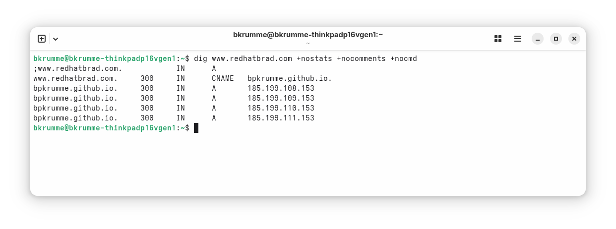 Screenshot of dig results 2