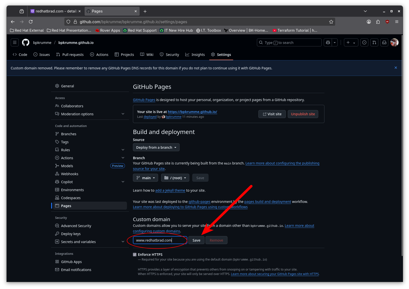 Screenshot of pages custom domain