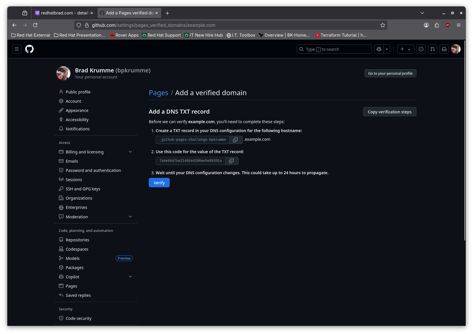 Screenshot of TXT record instructions